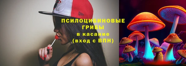 трава Заводоуковск