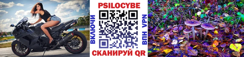 Галлюциногенные грибы мухоморы  Купить где  Курчалой 