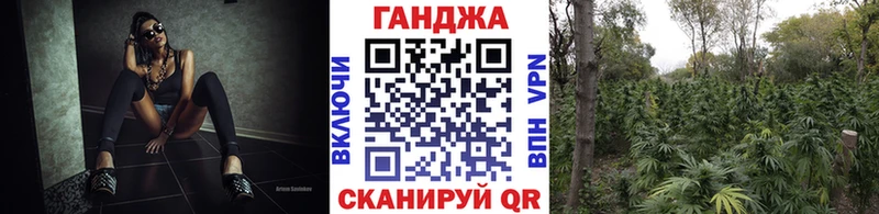 Конопля тримм  Купить закладки  Курчалой 
